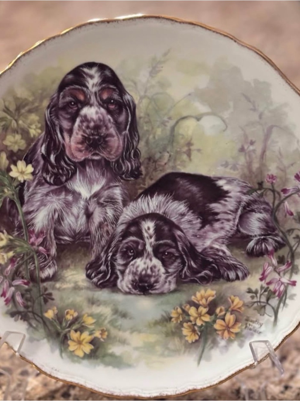 Decorative Dog Plate with Black and White Spaniel Artwork